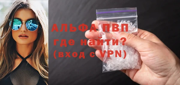 хмурый Няндома